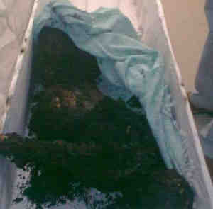 Syria, Massacre, Christians, Churchs, Islam, Terrorists