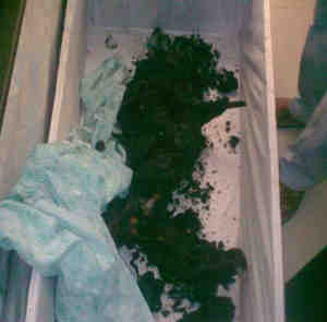 Syria, Massacre, Christians, Churchs, Islam, Terrorists